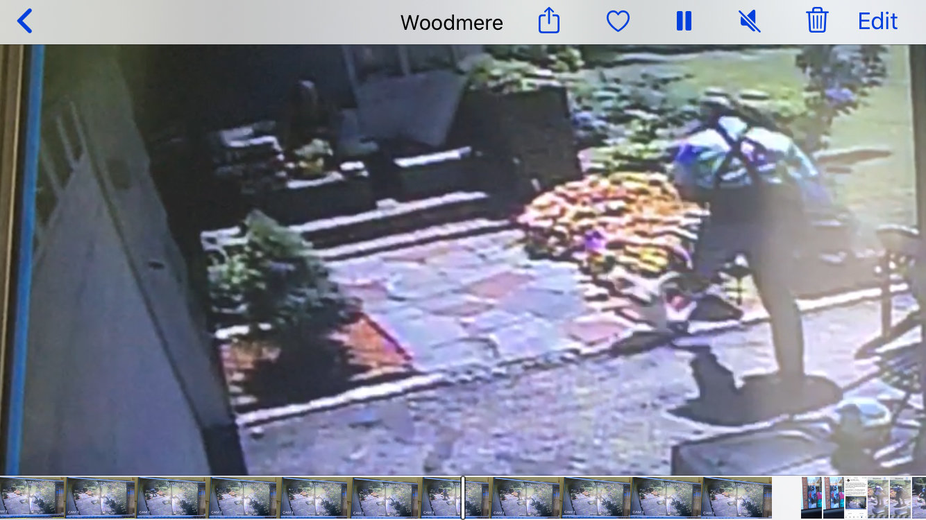 Mail carrier behavior riles Woodmere residents Herald Community